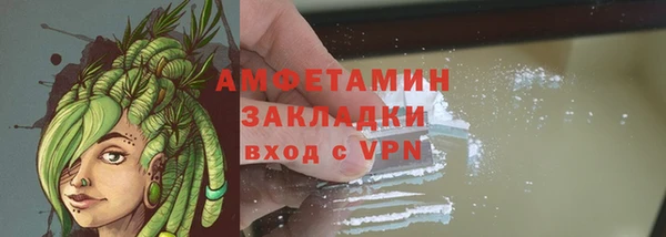гашик Арсеньев