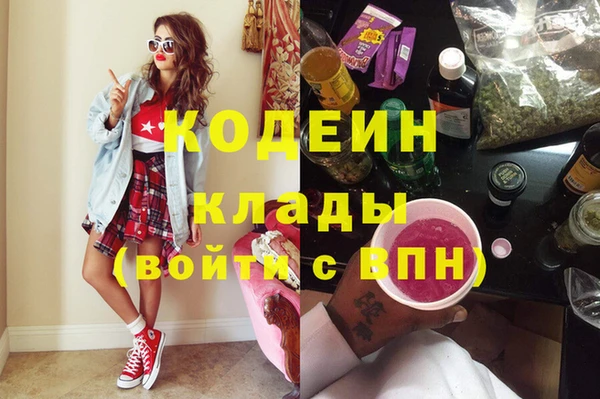 гашик Арсеньев