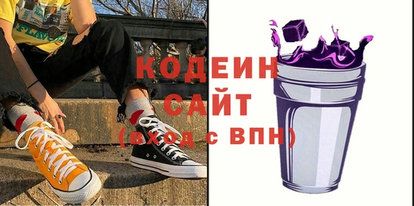 гашик Арсеньев