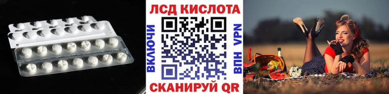 гидра ТОР  Терек  ЛСД экстази кислота  купить наркоту 
